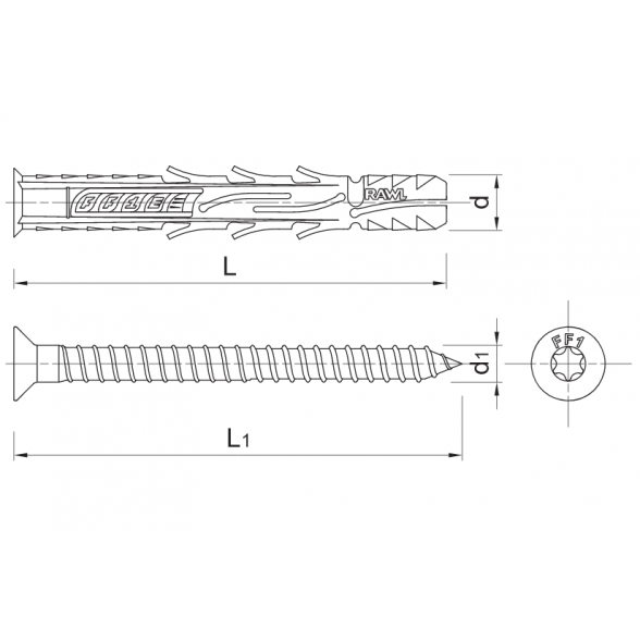 Kaištis RAWLPLUG R-S10-FF1N10L100, 10x100mm 1