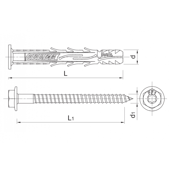 Kaištis RAWLPLUG R-S10-FF1N10K100/6, 10x100mm 1