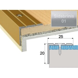 Profilis laiptams A36 sidabrinis, 270cm 25x20mm