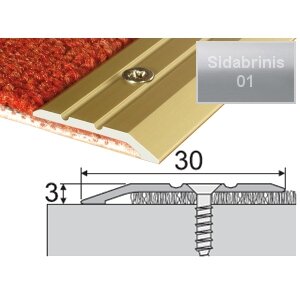 Profilis su nuolydžiu A01 sidabrinis, 180cm 30x3mm